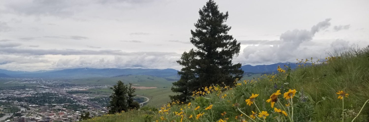 MorganPaskins's profile banner image