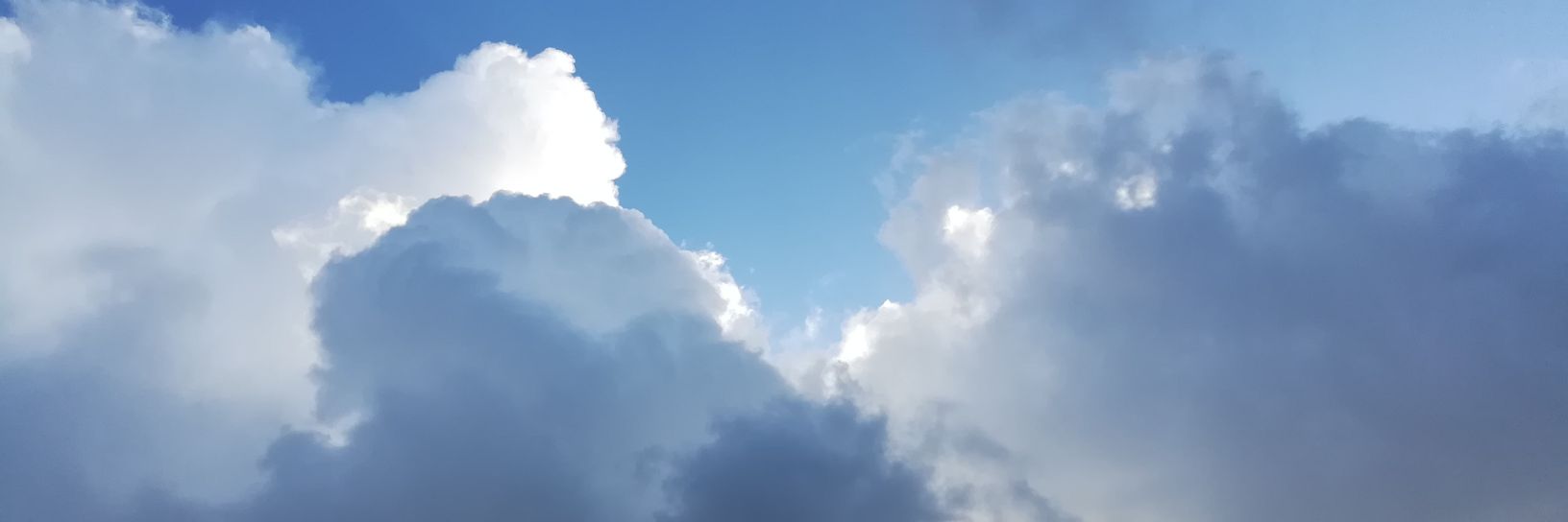 rouxcoul's profile banner image
