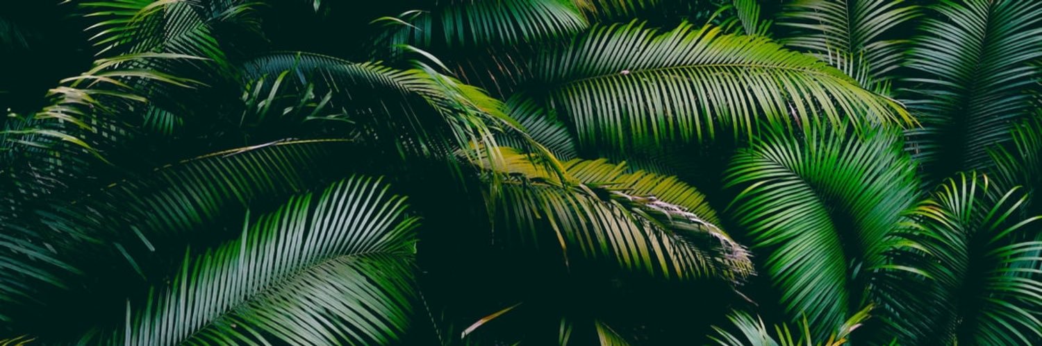 fuckshane's profile banner image