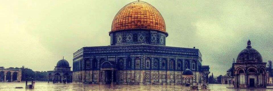 bsher_khaled's profile banner image
