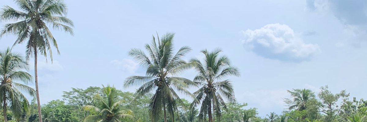 iputputpet's profile banner image