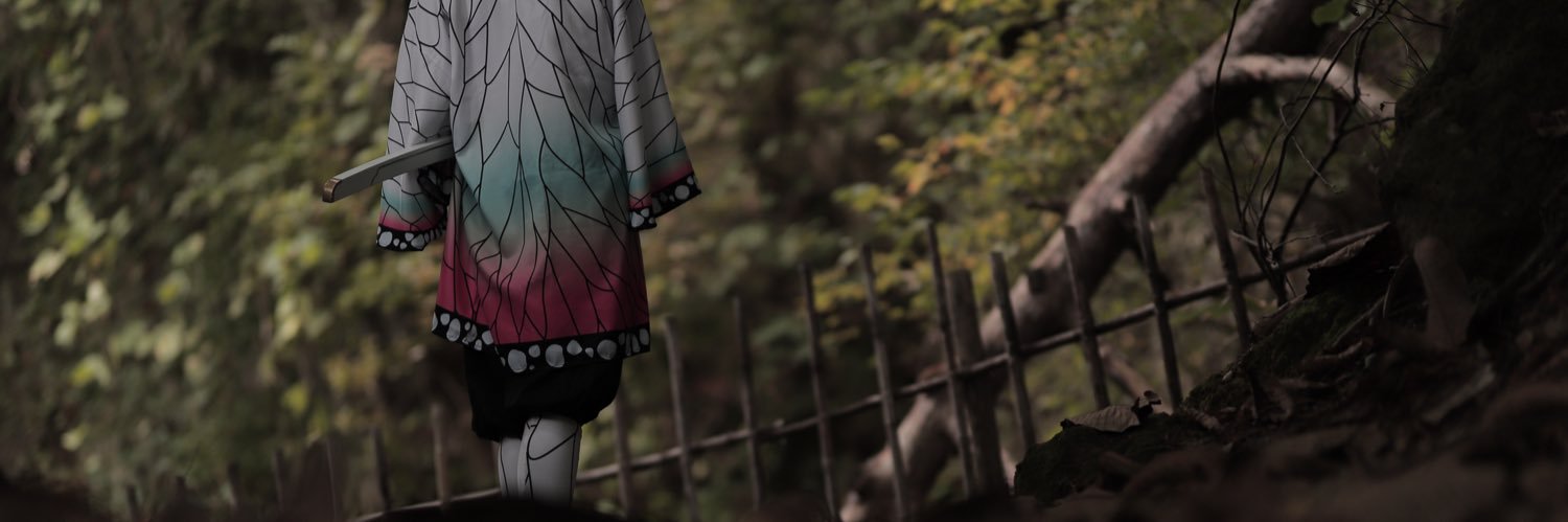 raudograu's profile banner image