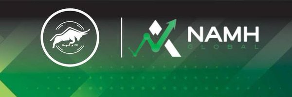 MegaFlip_Fx_ Profile Banner