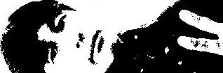 ryubis's profile banner image