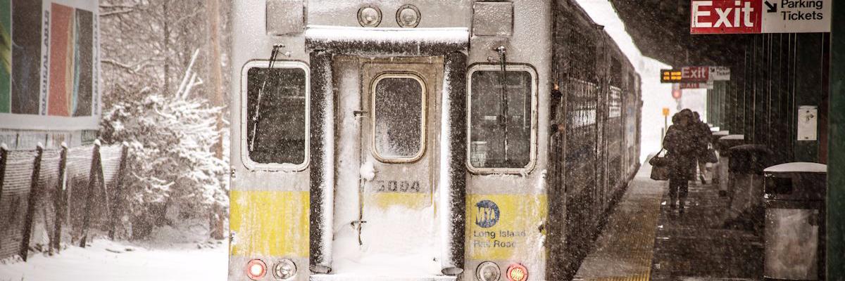 tandy_neil's profile banner image
