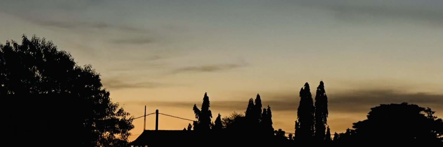 dxtrvx's profile banner image