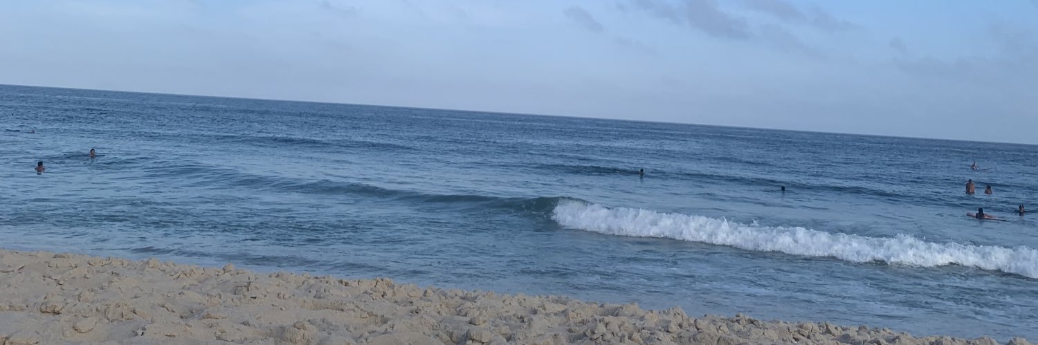 danisbarbozza's profile banner image