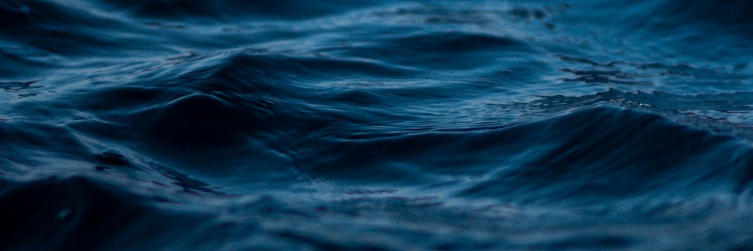 NimbleTweeter banner