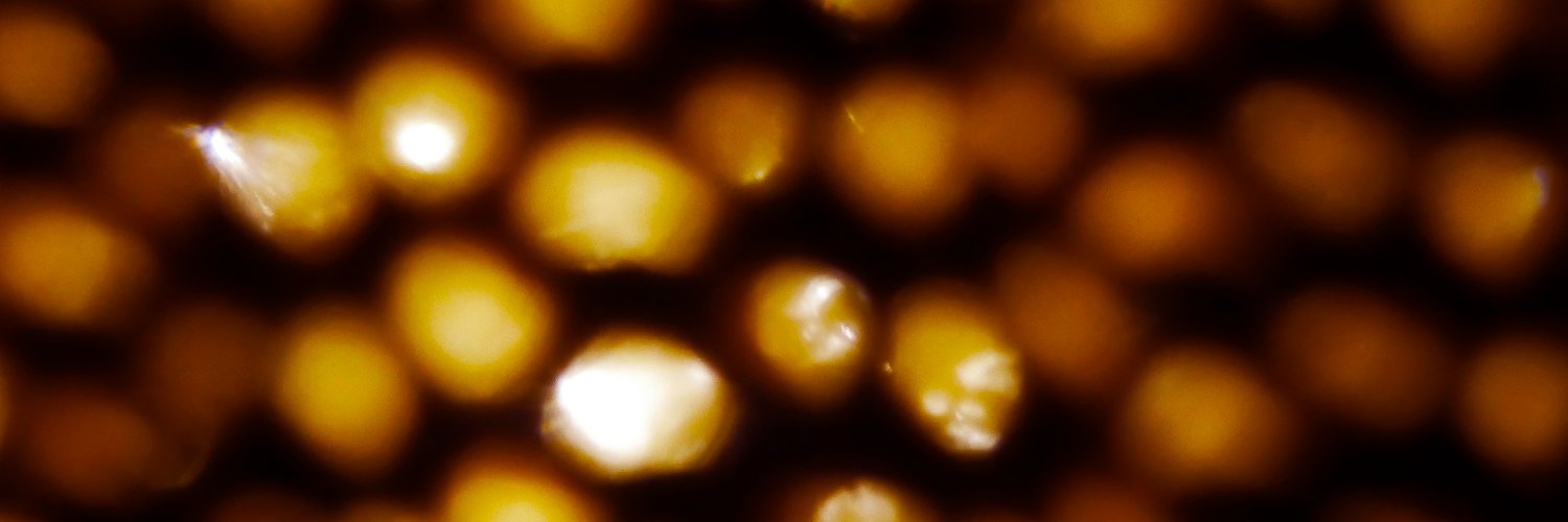 samuelvanderlee's profile banner image