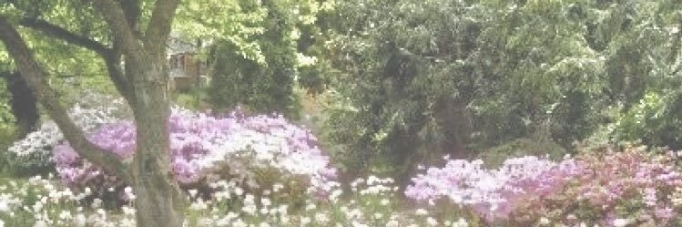 t00thfaiiry's profile banner image