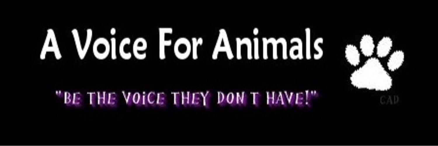 prohibityulin2's profile banner image