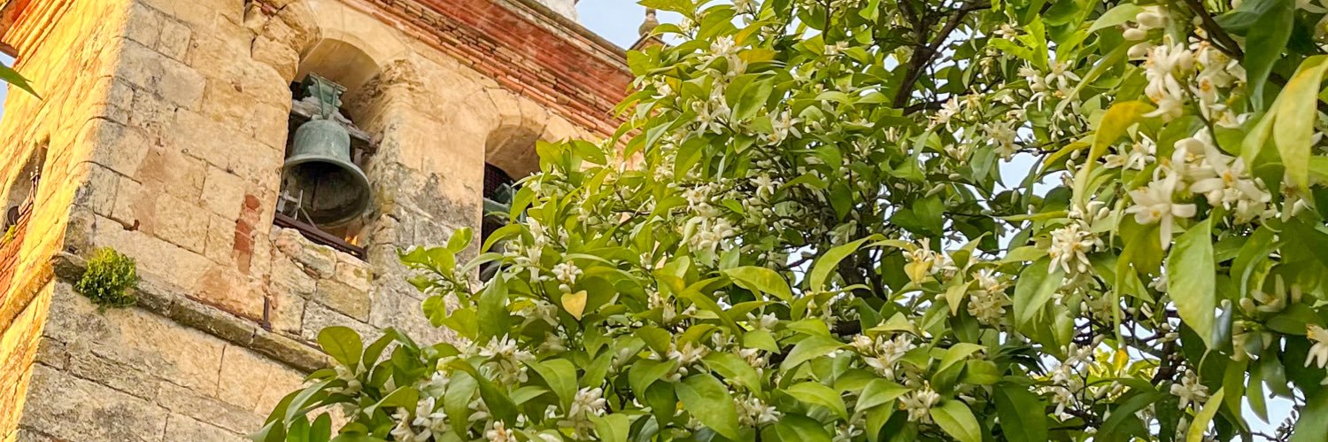 ManuCruz1's profile banner image