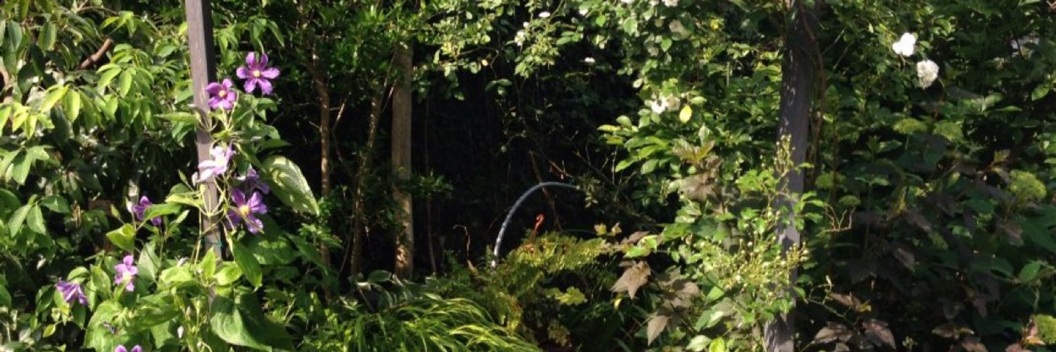 櫟井(いちい) banner