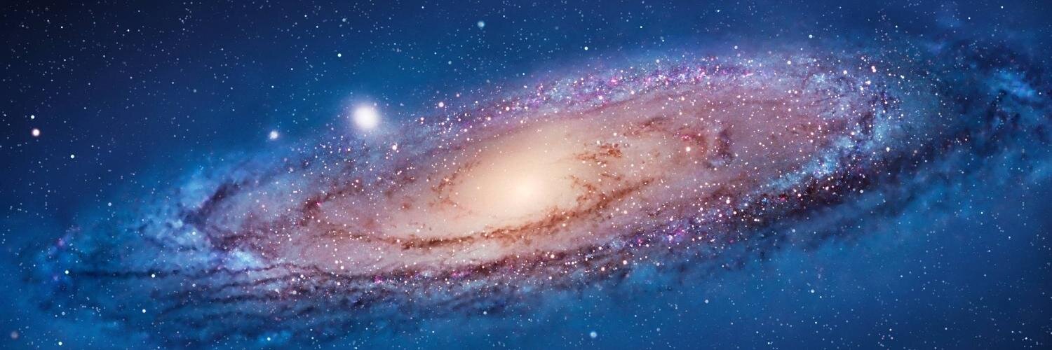 пельменная жрица banner