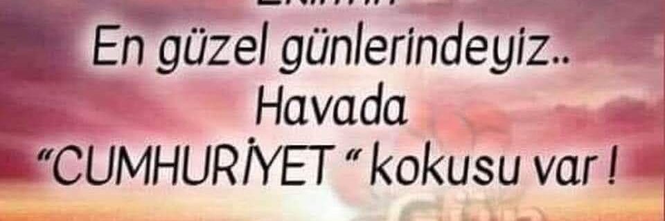 Medogullari's profile banner image