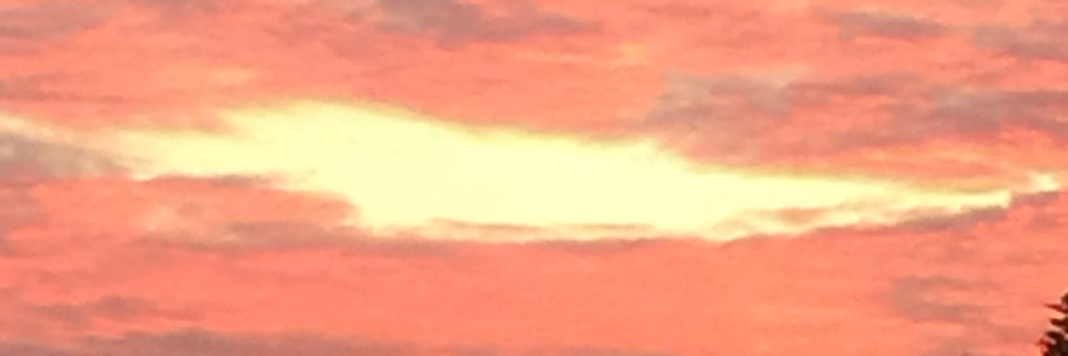 sittingonthenet's profile banner image