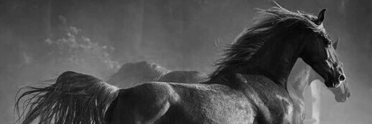 m333mo0o's profile banner image