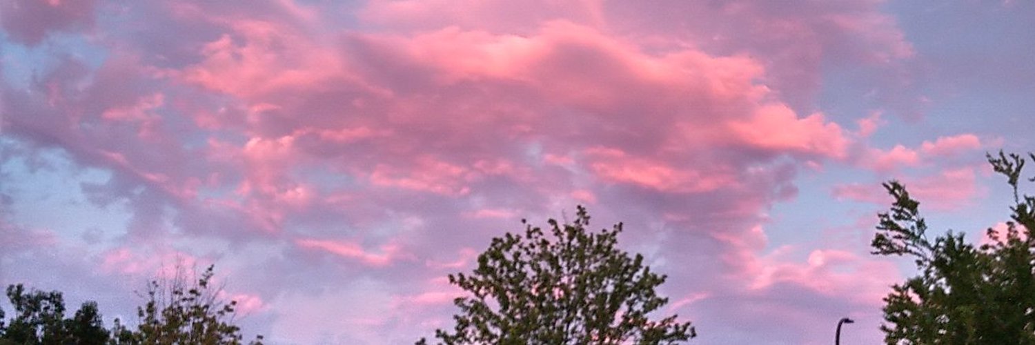 Rodriguez_or2's profile banner image
