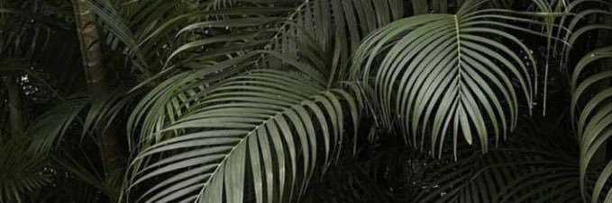 rinneganneya's profile banner image