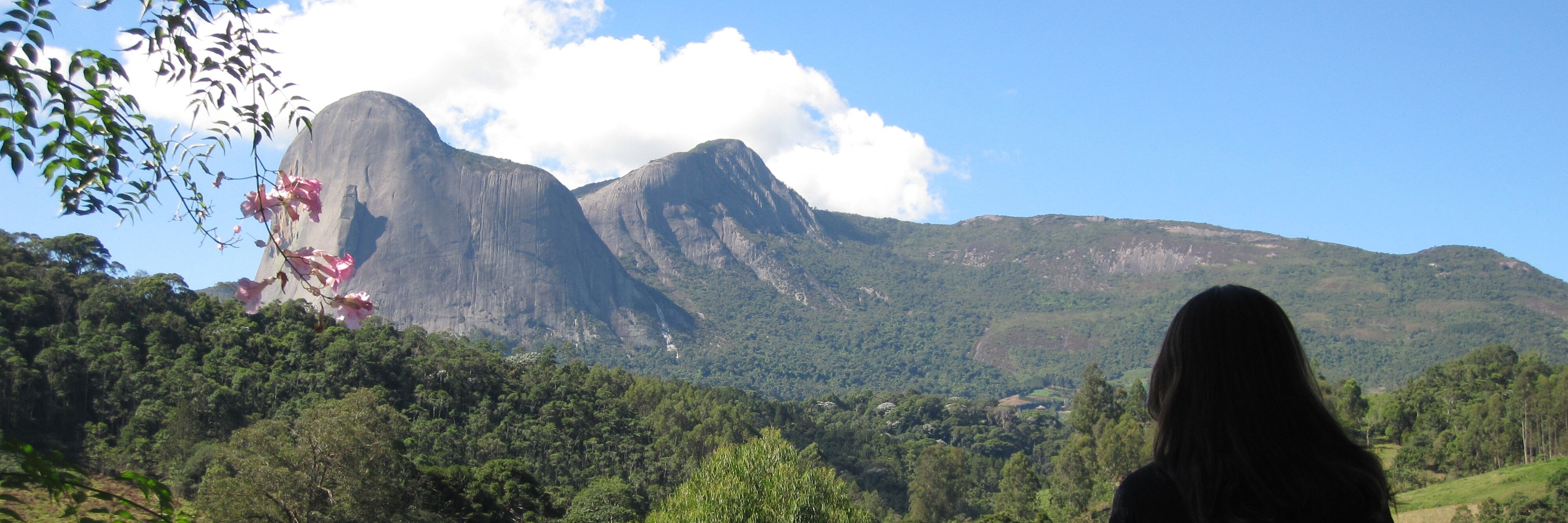 Josiane X. Parreira banner