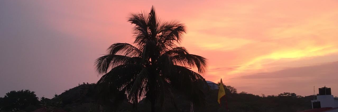TaniaGaur's profile banner image