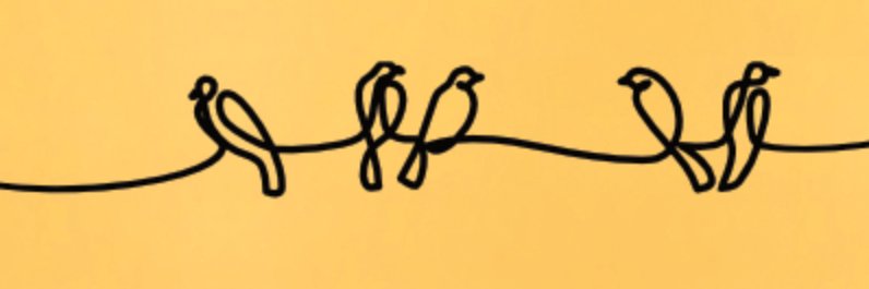 eliflute's profile banner image