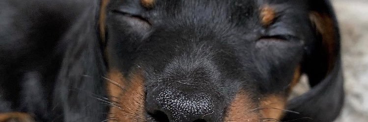 _dudakimie's profile banner image