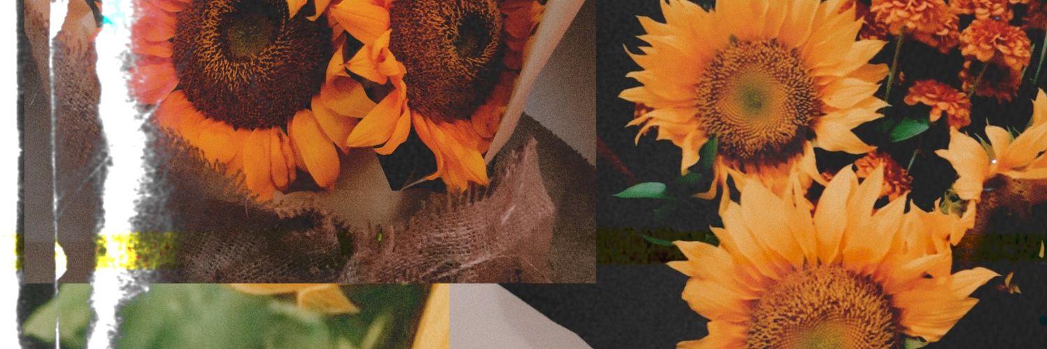 iamasunfloweerr's profile banner image