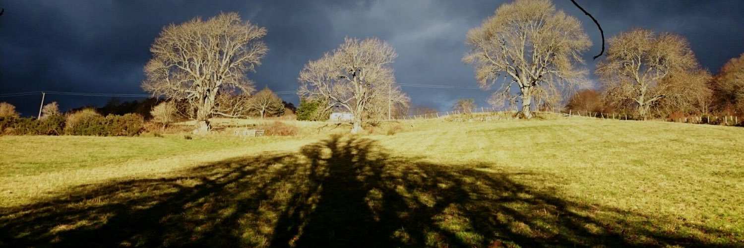 walsop's profile banner image