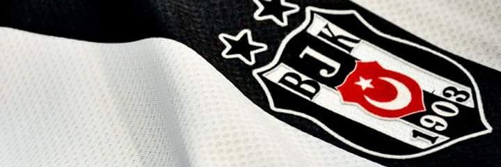 ebruminell's profile banner image