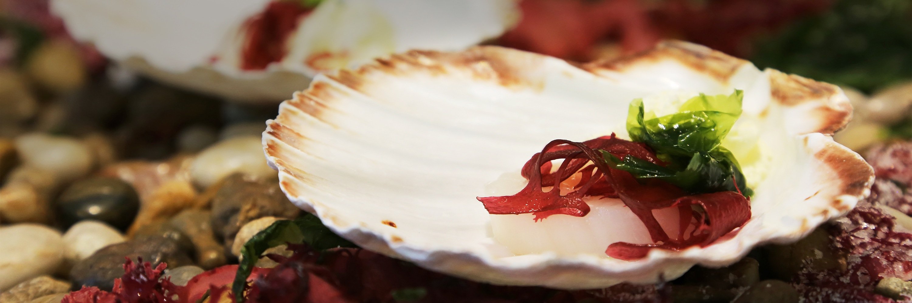 rentachef_com's profile banner image