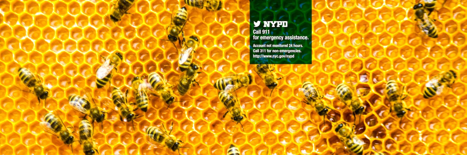 NYPD Bees banner