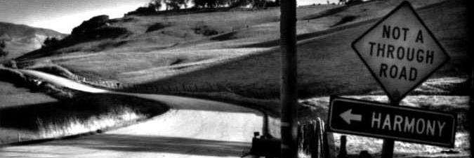 Vittorio Marotta banner