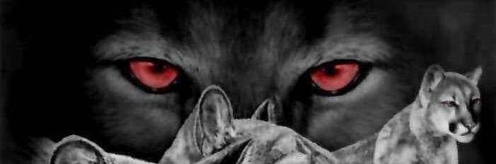 kwekabeiku's profile banner image
