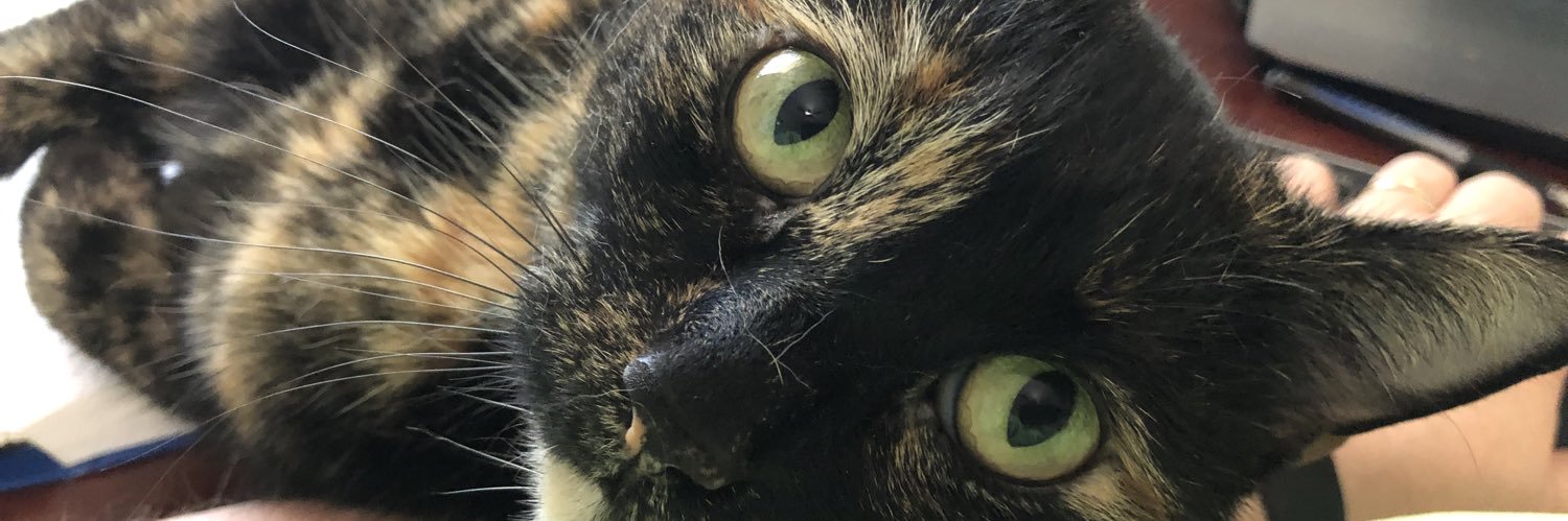 Obfus_Cate's profile banner image