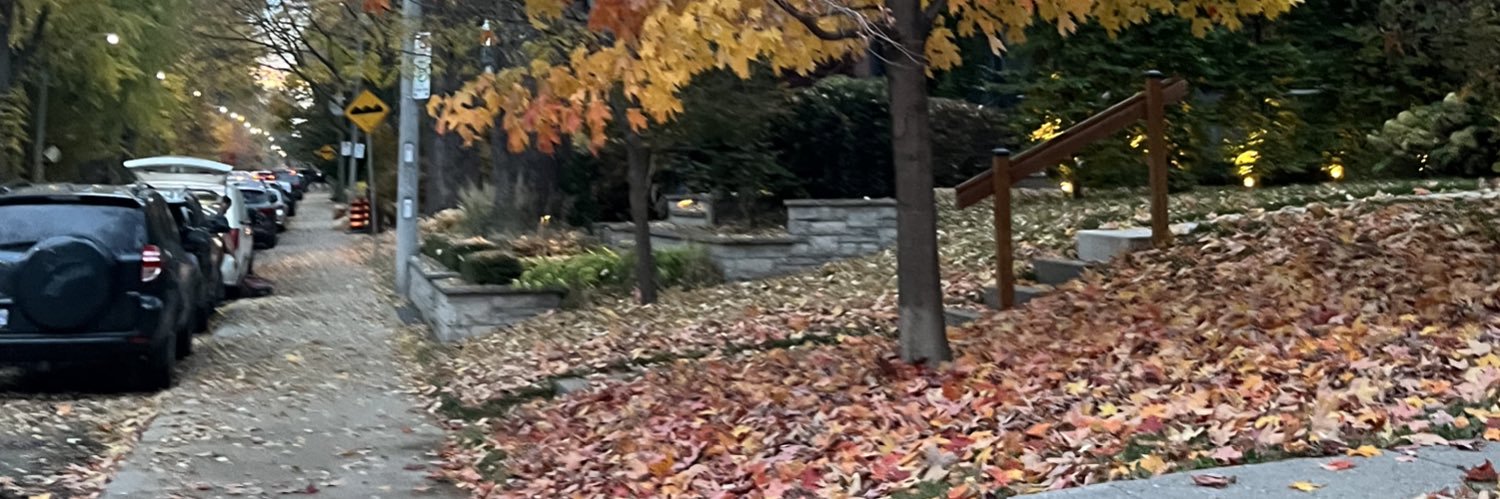 stemmyemmy's profile banner image