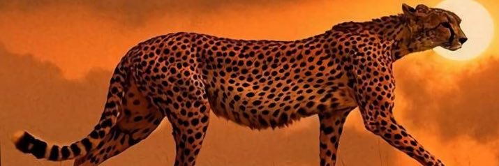 AnduH24's profile banner image