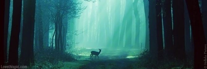 MyLittleRunner's profile banner image