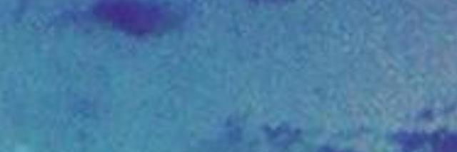 fdv2289's profile banner image