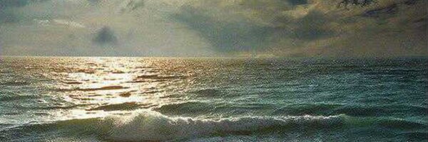 kosind Profile Banner