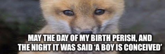 thalia ⚧︎ ΘΔ banner