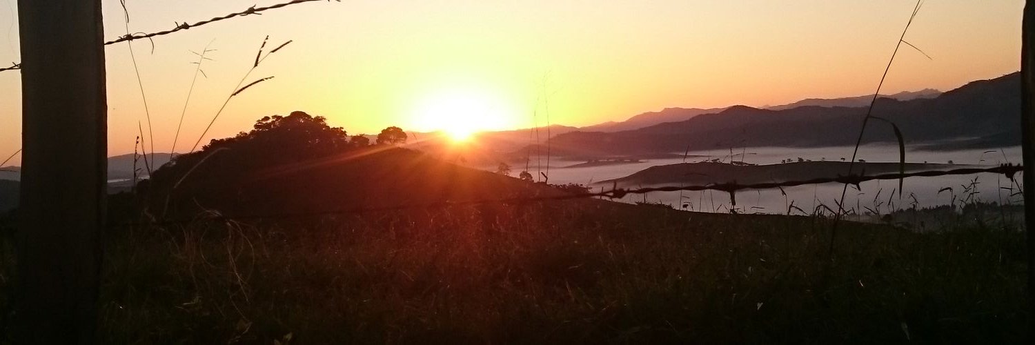 Murilo_hmp's profile banner image