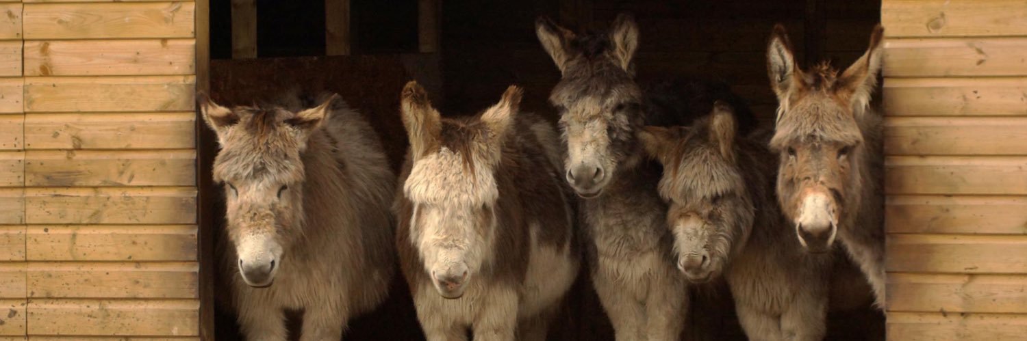 Matlock Farm Park banner