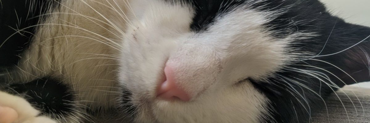 rb_liv's profile banner image