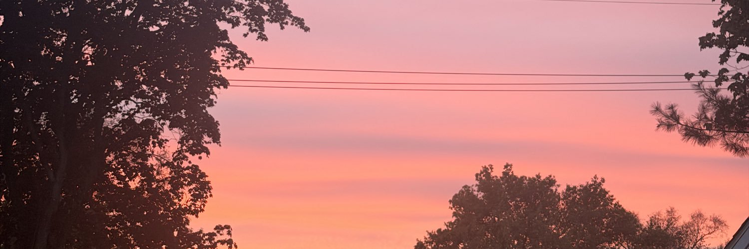 phoeberoseleek's profile banner image