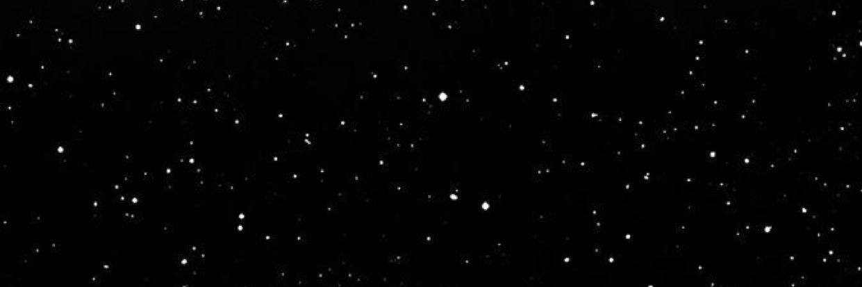 𐦍 banner