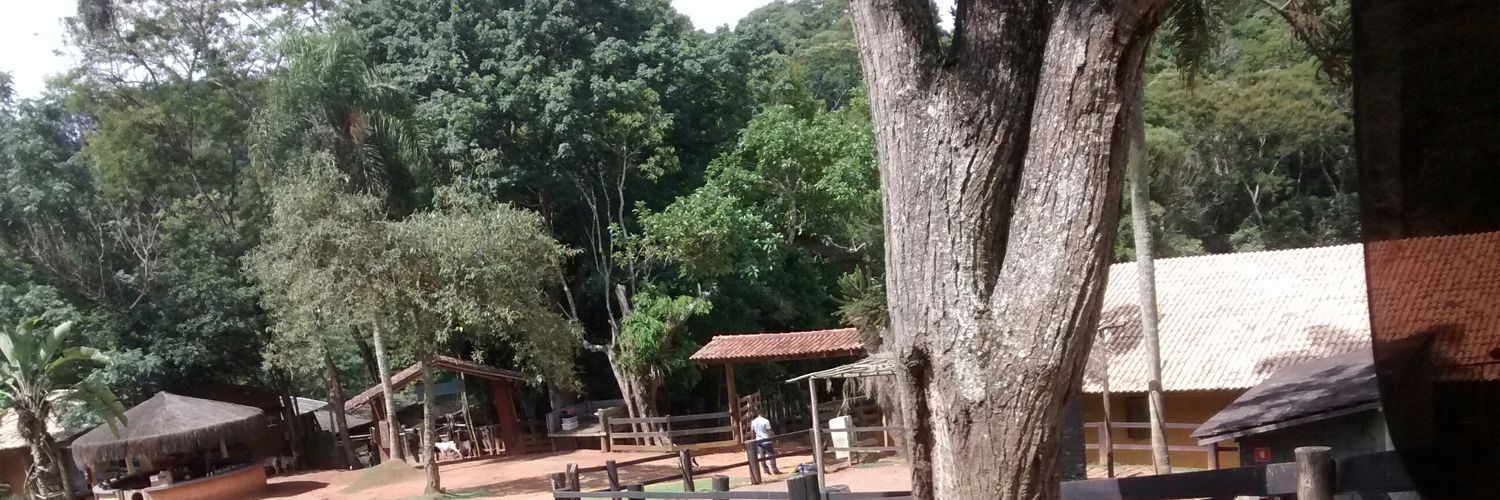 BarbAdailton's profile banner image