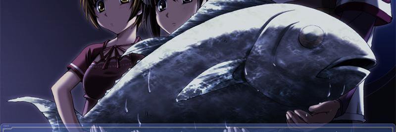 km_doara's profile banner image