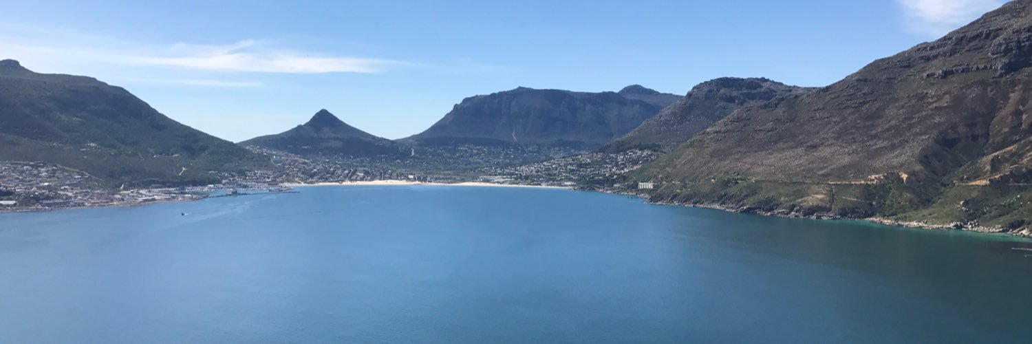 Andrew Stevens banner