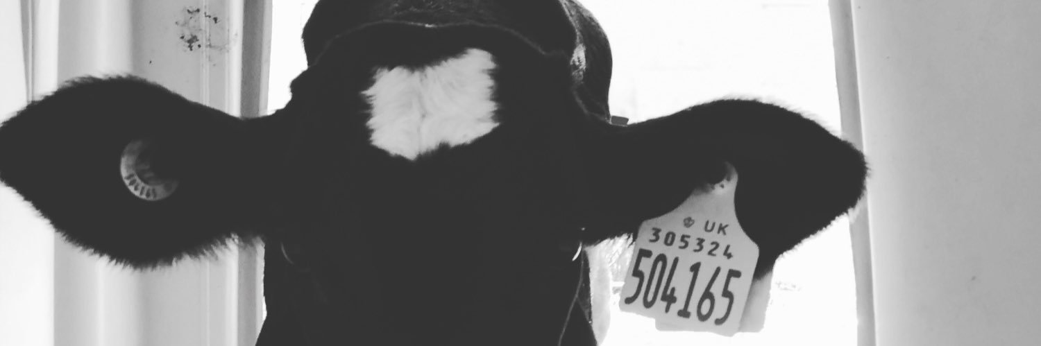 PattersonChloe_'s profile banner image
